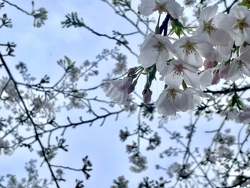 当社の代表と社員が撮影した写真を掲載しております。